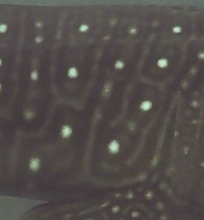 e52d9a45-291b-4944-8694-4b3ae94da9d4