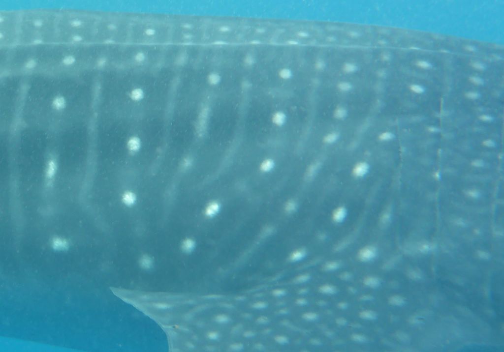 b9a2c144-3f3f-4a14-acdb-72dcb7bd8f35