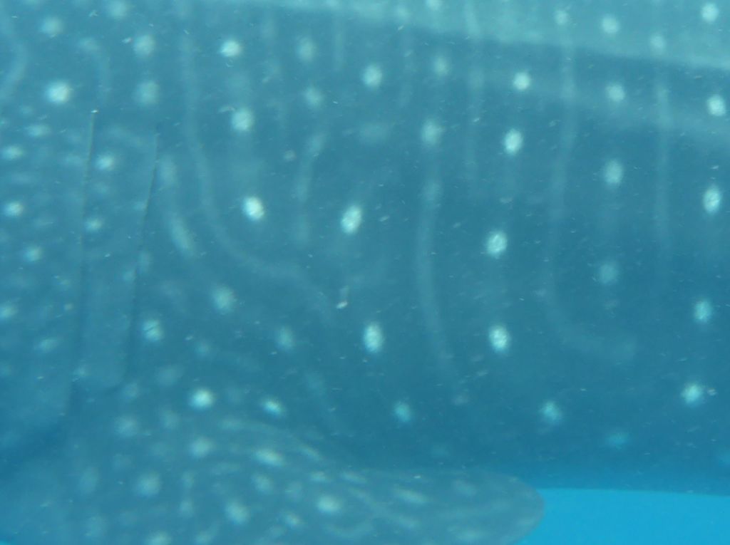 b9a2c144-3f3f-4a14-acdb-72dcb7bd8f35