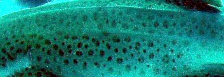 4eda4f73-8b83-4baf-a0d6-049c4f288524