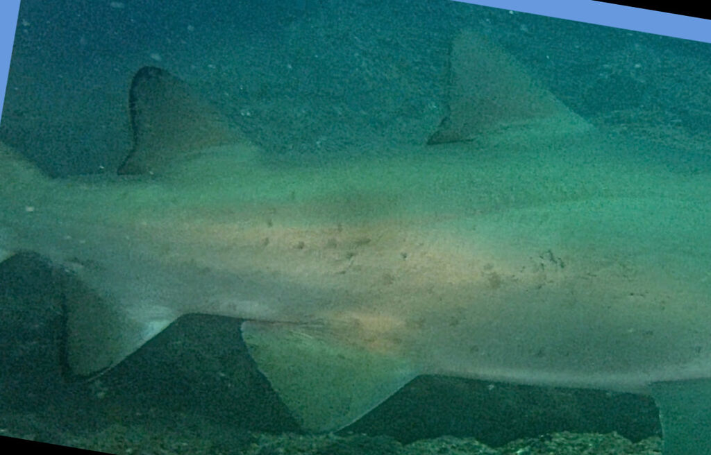 22683fa6-7aaa-495c-b420-7555a01742fa