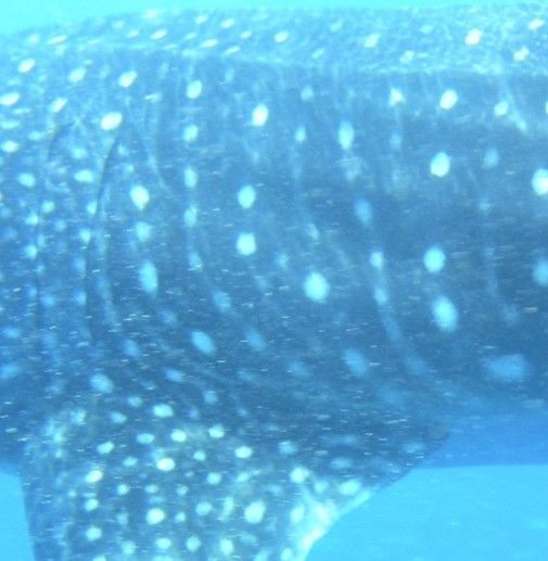 99c8f309-6dcd-4452-ac2d-603ea232525c