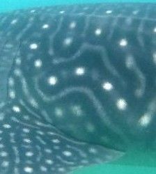 ae13ff10-ee4c-4bfb-90e7-37dbf00d2193