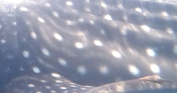 a98e9c4c-6604-4e07-8645-5bf744113e53