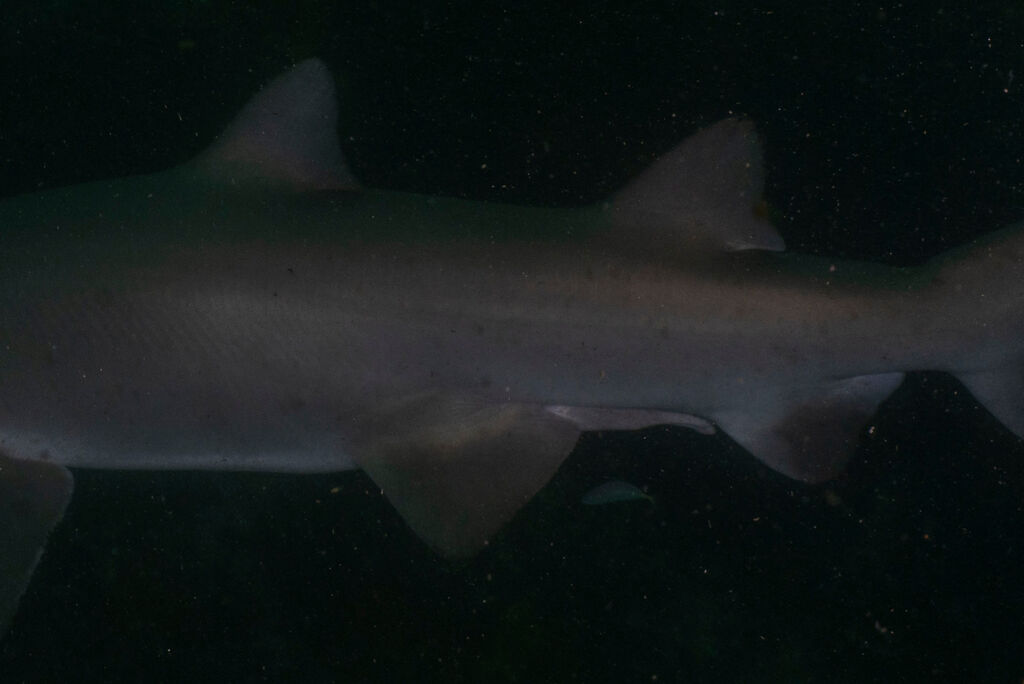 fe320e9d-278d-453e-a33f-741aaa51e333