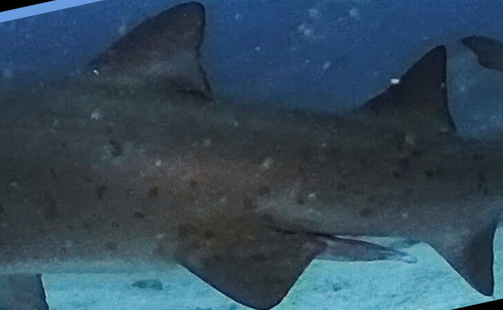 cd8bfbe9-d145-4cf4-9a5b-7c44a927fcef