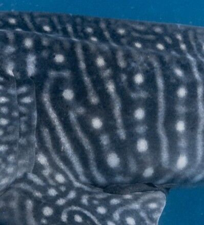 749a6e2c-abc8-4ae9-8ced-27f04583fdac