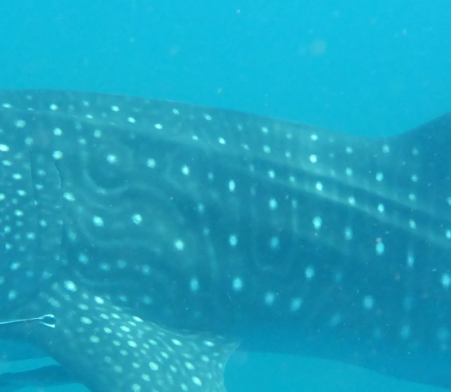 a35b45fe-2105-4140-8d56-8531326c757b