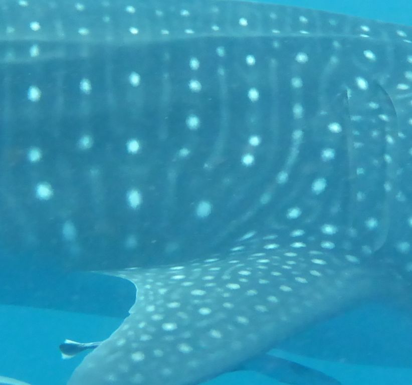 a35b45fe-2105-4140-8d56-8531326c757b