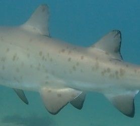 0f09175f-d01c-4b93-954d-6f53f5f5afb4