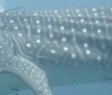 12bffd3c-a37f-4b72-8aba-c2180d937cd1