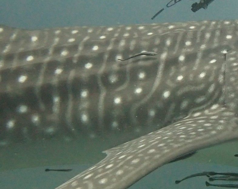 12bffd3c-a37f-4b72-8aba-c2180d937cd1