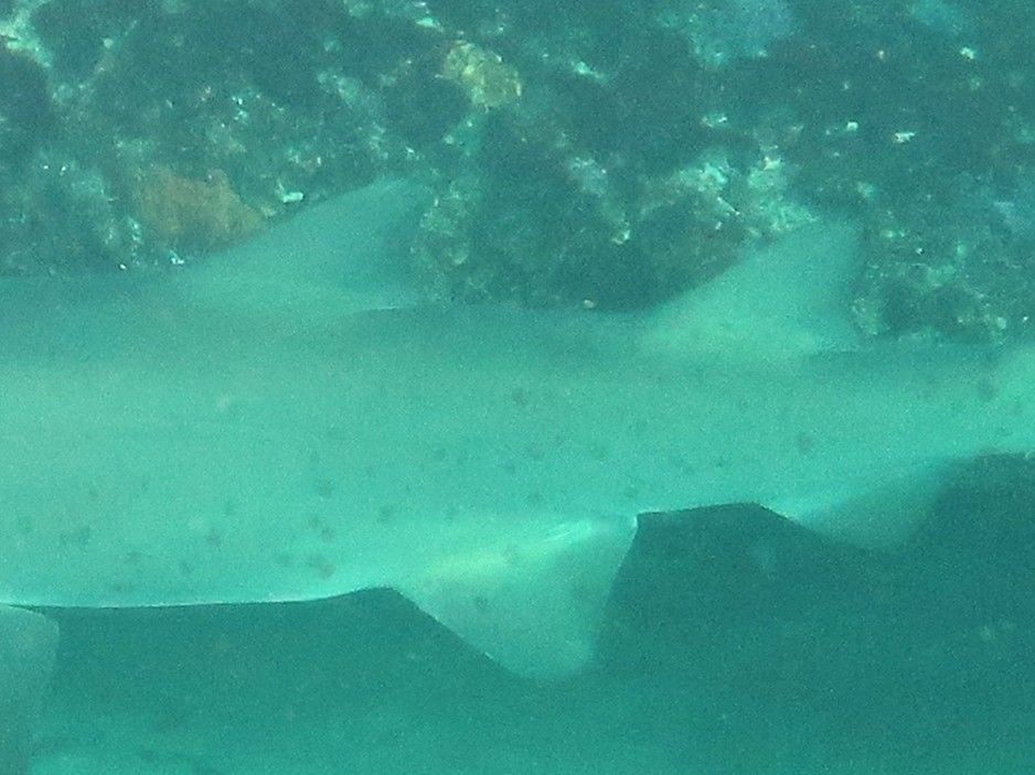 eb1f9e82-5e0f-4af4-b067-611386fa9027