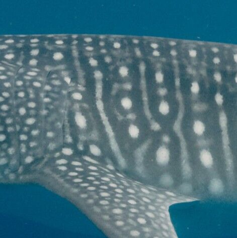 f07cad4f-3f39-4e03-a535-0749b70c2fec