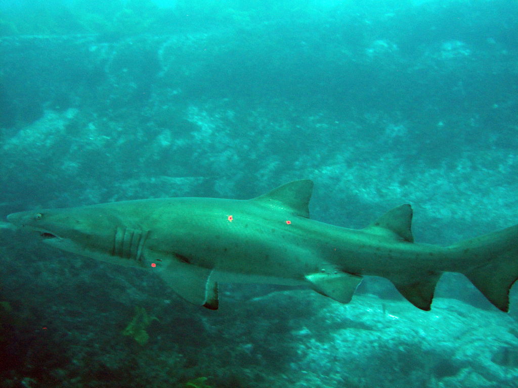 7281d0ff-fce6-49e2-8f8d-60c8147cab7b