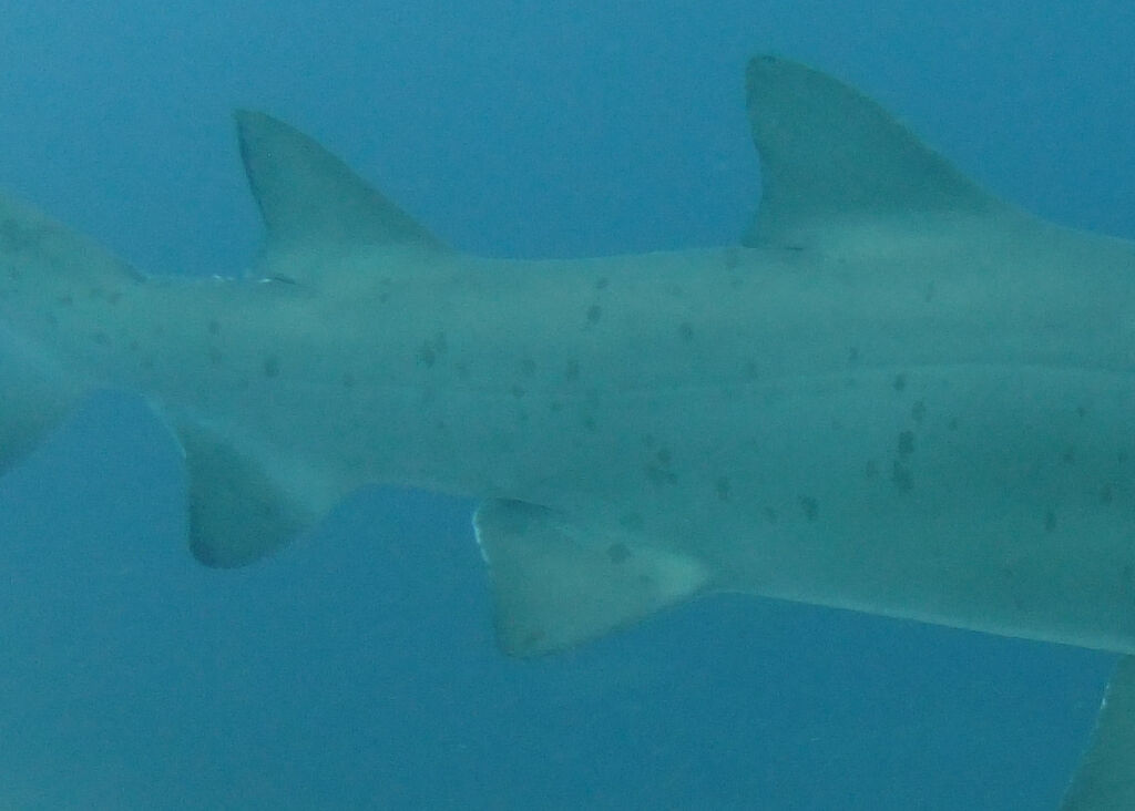 b7720fb2-3b31-4280-be2a-1847c3aa21e5