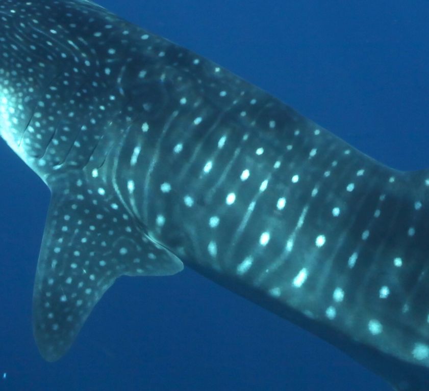 407ea8e4-df7e-41ae-b99b-d1140d7525f8