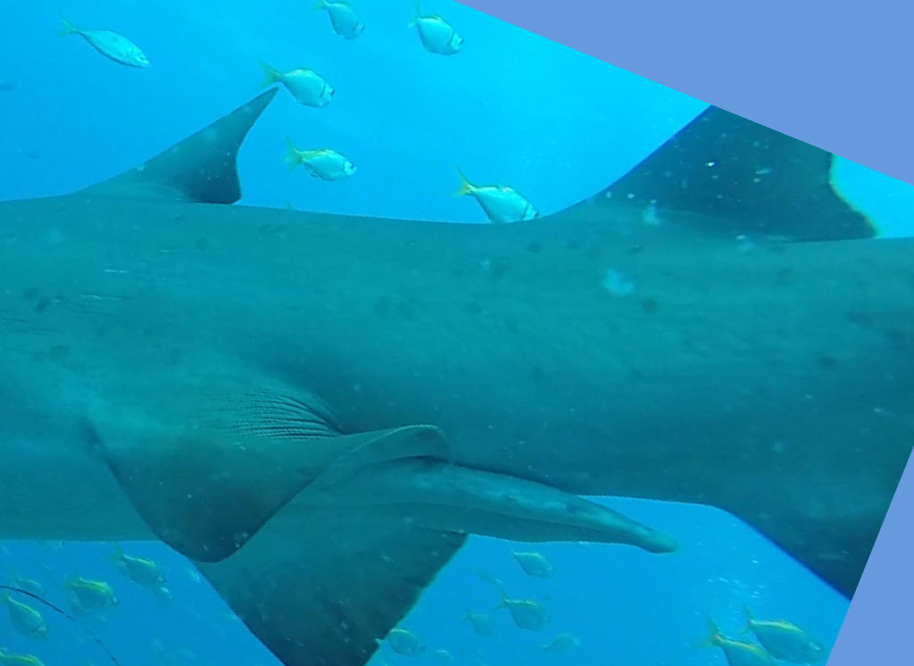 4820c97a-95cc-4457-9baa-42fef0697467