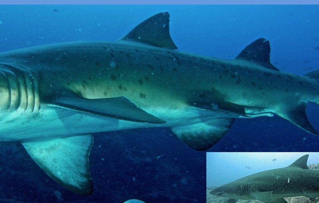 aaf5f371-b61d-441c-bcc2-3129998d90ed