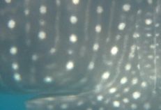 554056e6-d25a-4d19-9a14-64a3b1429482