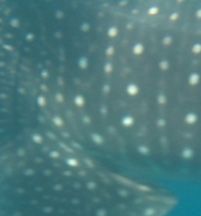 554056e6-d25a-4d19-9a14-64a3b1429482