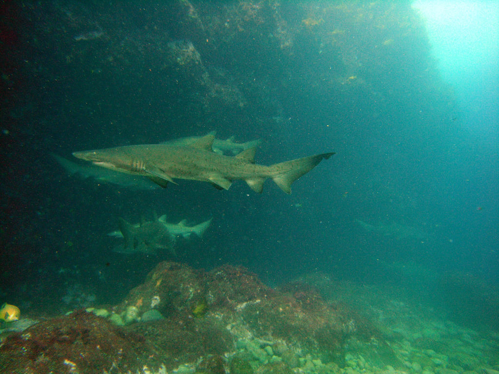 55fa5853-6887-4d62-9ef3-8568e96b41e7