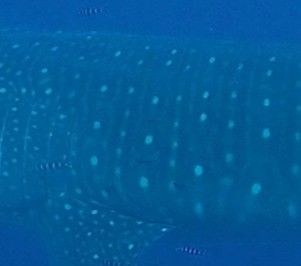 feb553e0-4c9a-4ea9-97d7-32f77a733317