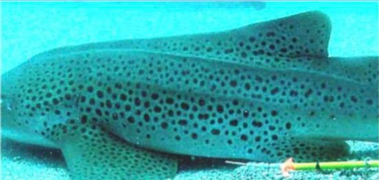 90eb7096-9b3f-48a2-bc04-6dccea1abade