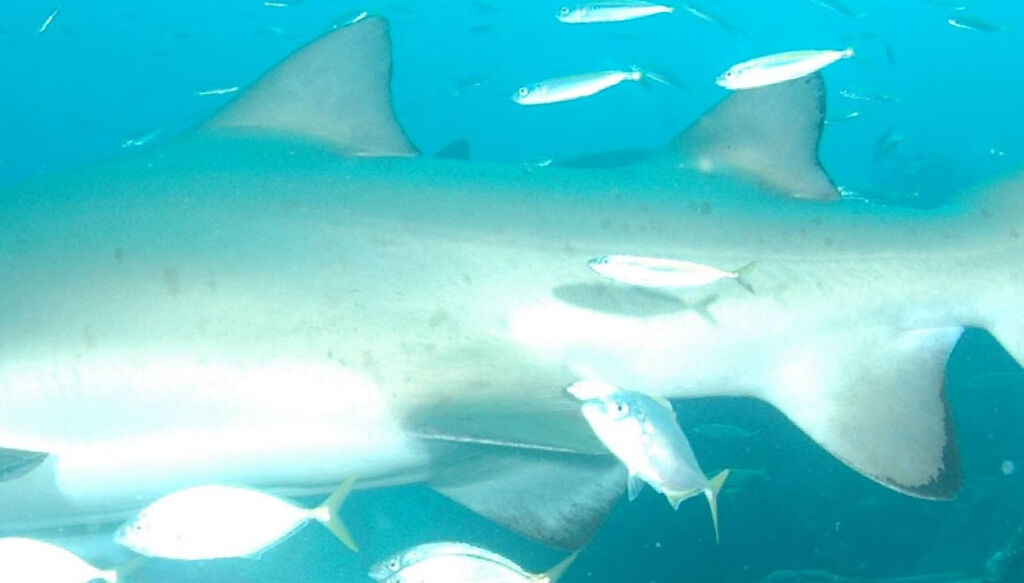 58bda85c-480e-4358-9cbb-10d19167b84a