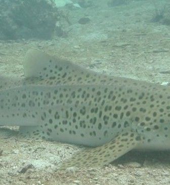 06c32bc2-8b08-4864-a877-f73dfaef4b66