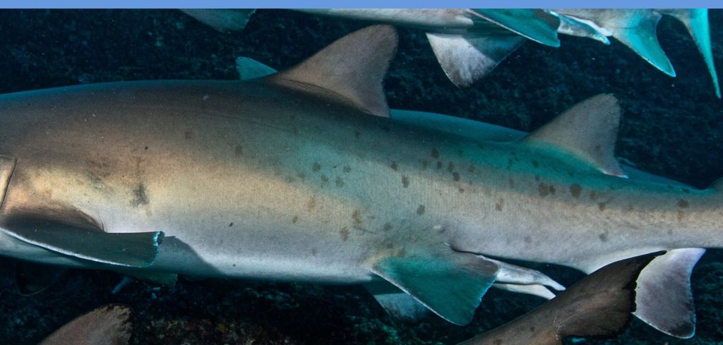 39ca857f-aef1-46a7-8cf5-63ac92020fb1