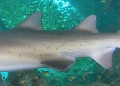 fe51b60d-f79f-4eba-9a7b-90718cea0980