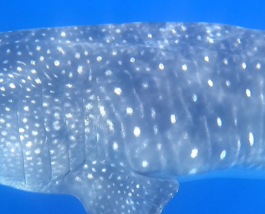 57199be9-5dfa-46f4-885c-68f45fd9bd06