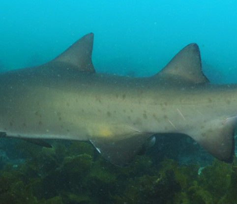 0d82d35d-eb53-430f-91c5-30422e86de66