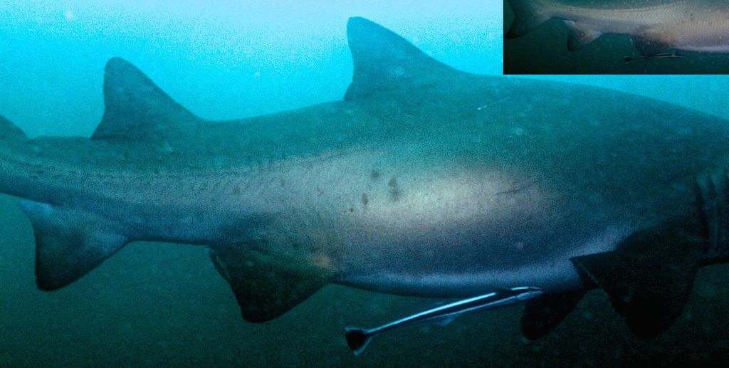 6b4c8158-a73d-4910-9e33-03e4992df854