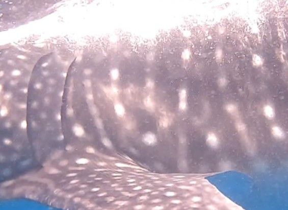 ac3221b1-5a70-41bd-912a-b0ac1846f522