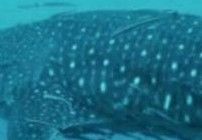 41c123f9-b59c-4184-9ce9-60ba0356a3e0