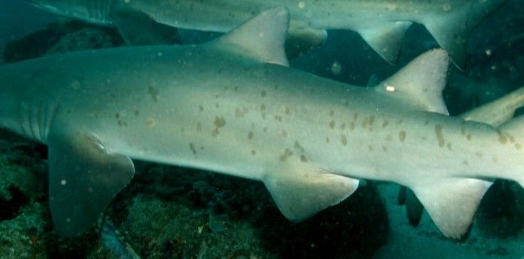 04d6e07e-d522-4e6e-8284-b6c36a91dbcd