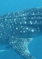 75678238-43bc-4f42-bc20-d9d7c20d6050