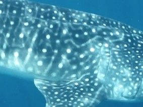 75678238-43bc-4f42-bc20-d9d7c20d6050