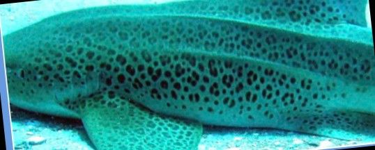 1f2f8fac-102d-4b31-bb8e-24b21987e55d