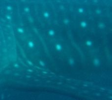 04e11475-8560-4967-bcfa-bcaec9acbf3d