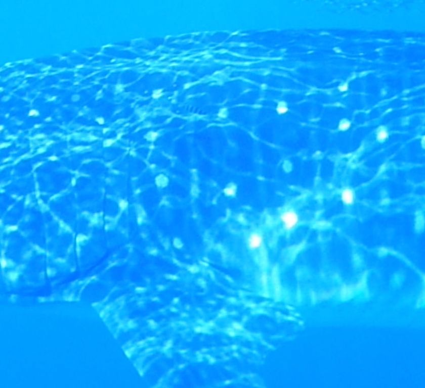 01c860b3-599d-4215-aa2d-61a740a39438