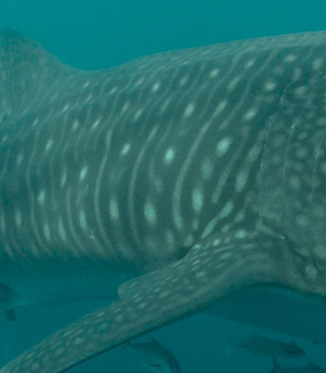 7cc07373-ec6c-485c-9fb3-0d6a89b2693a