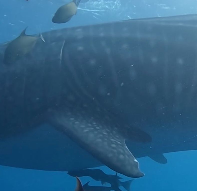 7cc07373-ec6c-485c-9fb3-0d6a89b2693a