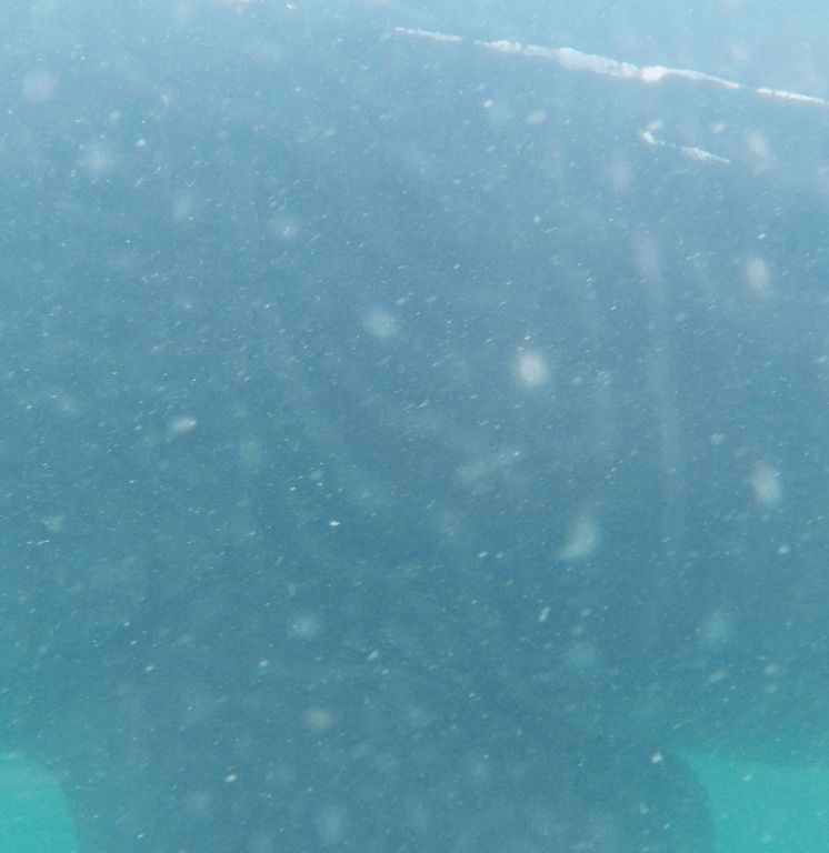 47796346-4216-444d-845a-50684b39d1f2