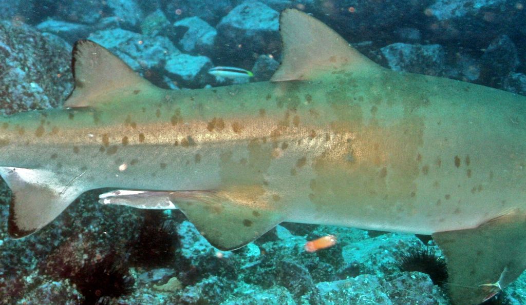 cade9dc7-580a-4838-80bd-c453c3825f7d