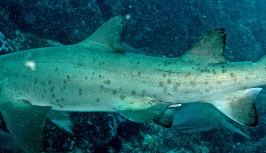 6d42a53e-dd0c-4bb0-80e8-0e9165f9ad7b