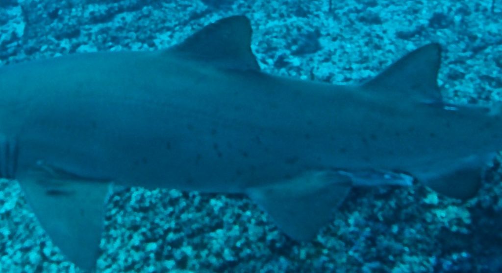 0b941390-106b-40f1-a22c-845f380fe5eb