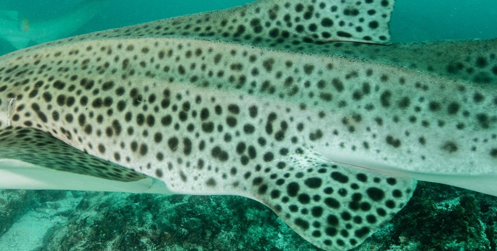 6ded00ef-f619-46a8-b195-f95e54ea13e2